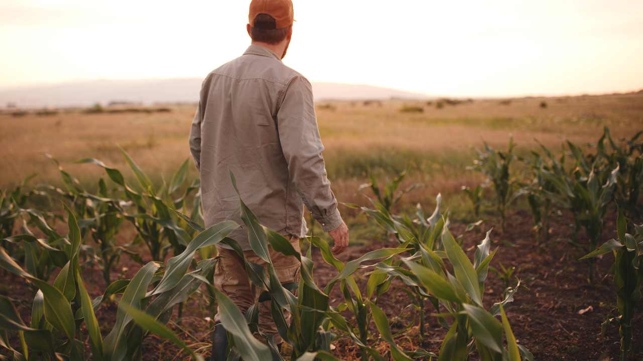 sostegno lavoratori agricoli