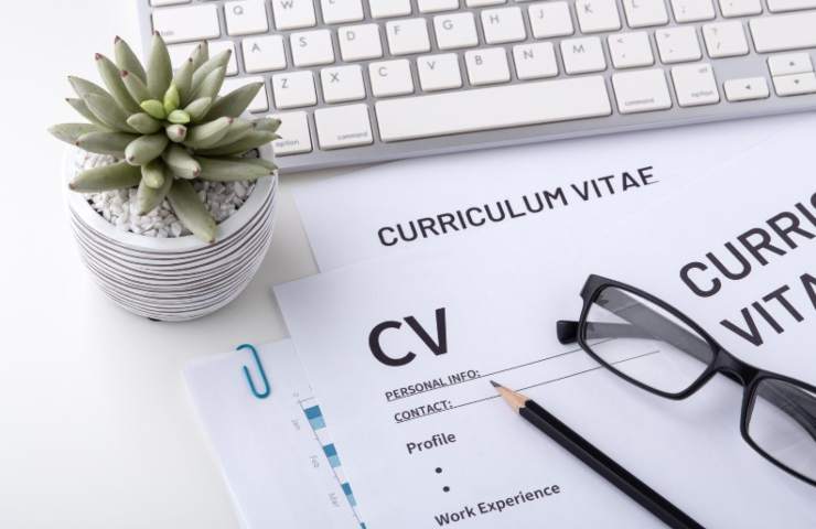 curriculum vitae redazione