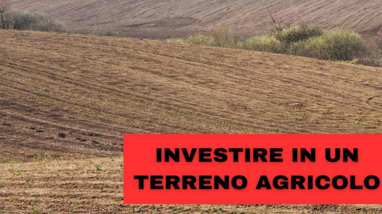 Investire terreno agricolo vantaggi