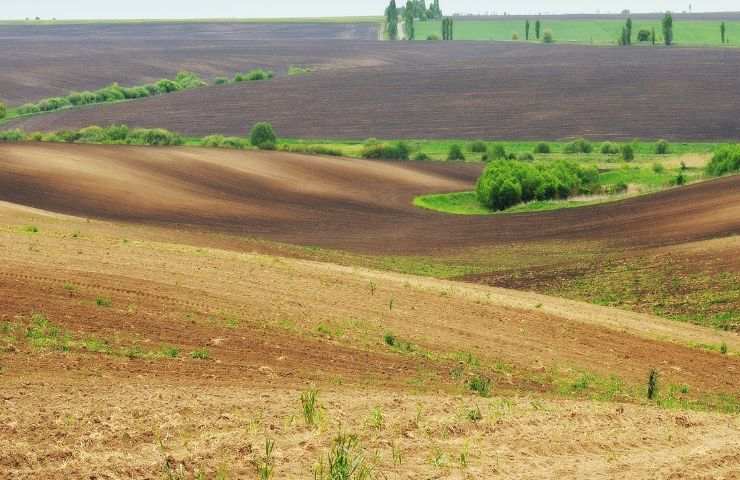 Investire terreno agricolo vantaggi