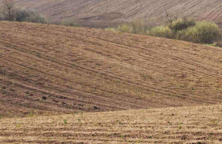 Investire terreno agricolo vantaggi