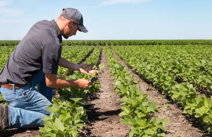 corso formazione agricoltura