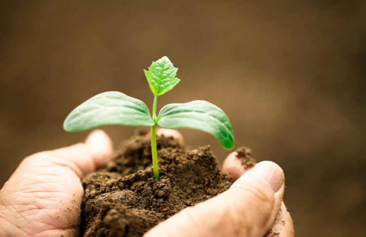 corso agricoltore