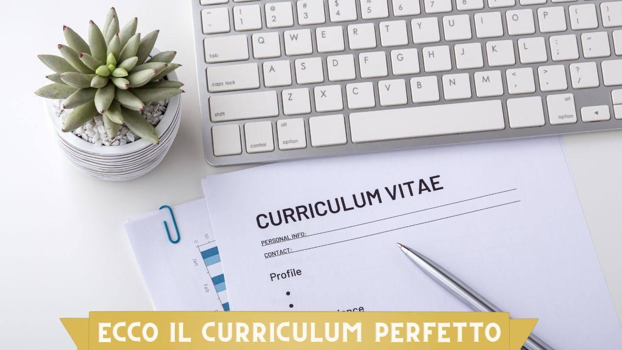 come scrivere il curriculum