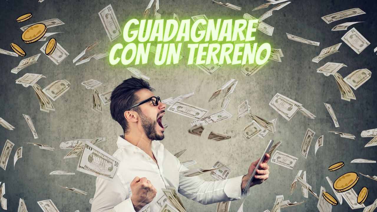 guadagnare con un terreno