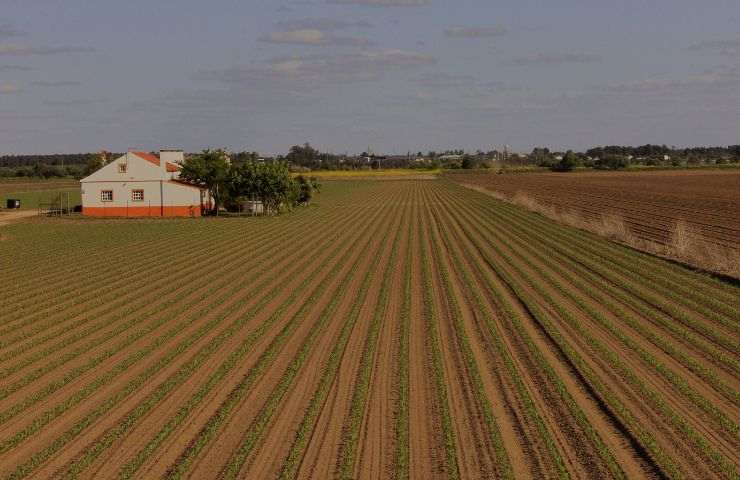 guadagnare con un terreno