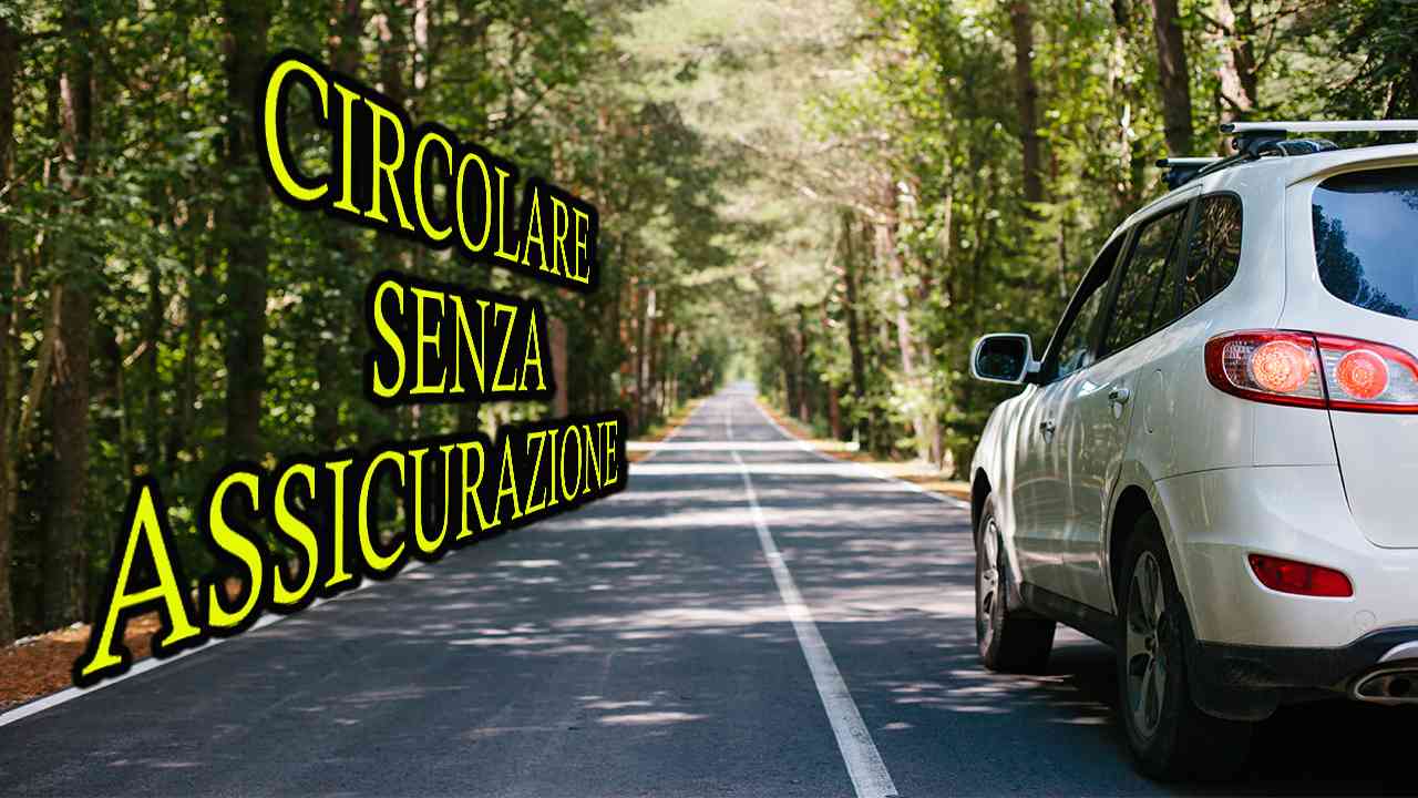 tempo rinnovo assicurazione