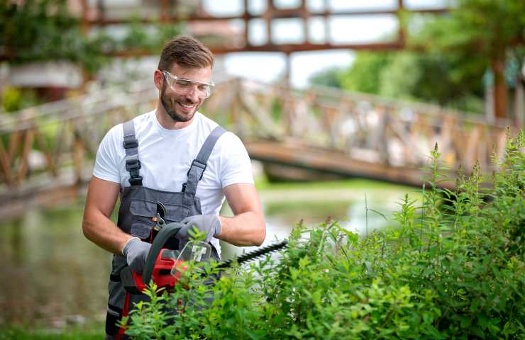 corsi per giardiniere d'arte