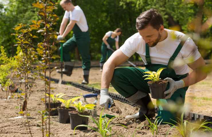 che cos'è un giardiniere d'arte