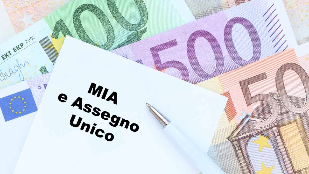 Che fine farà l'Assegno Unico con l'introduzione della MIA?