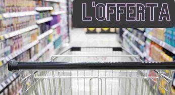 Non può mancare in cucina: lo vogliono tutti e costa meno di 20 euro in questo noto supermercato