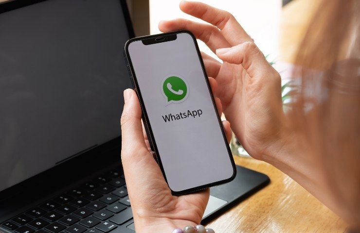 whatsapp privacy notifiche