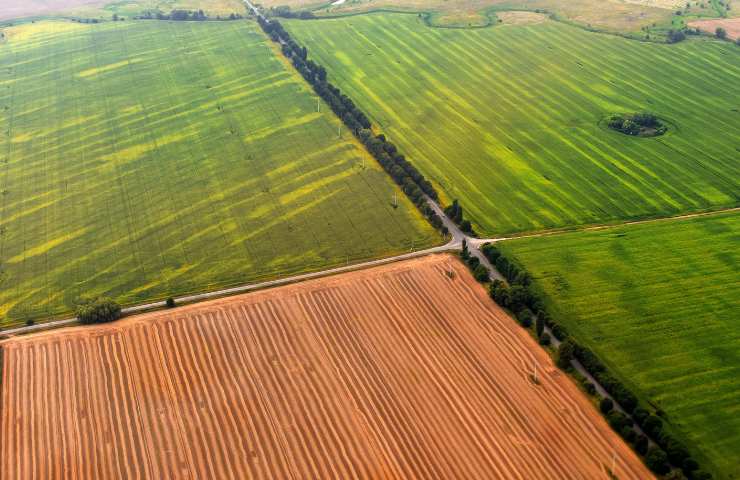 acquistare affittare terreno agricolo