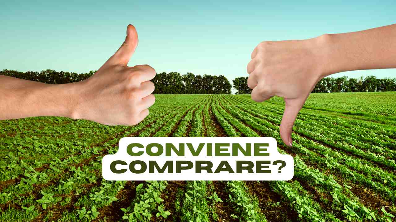 terreno agricolo comprare conviene