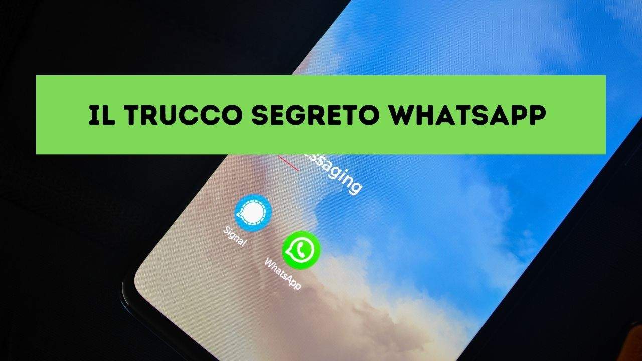 whatsapp trucco