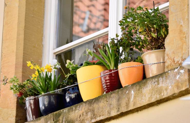 Foglie giardino, si possono bruciare? 