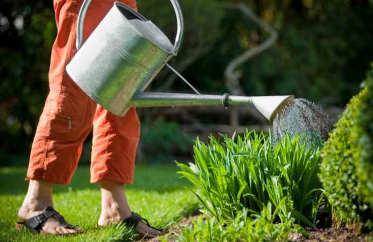 acqua giardino