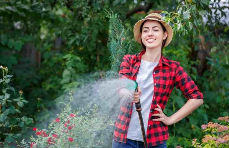 acqua giardino