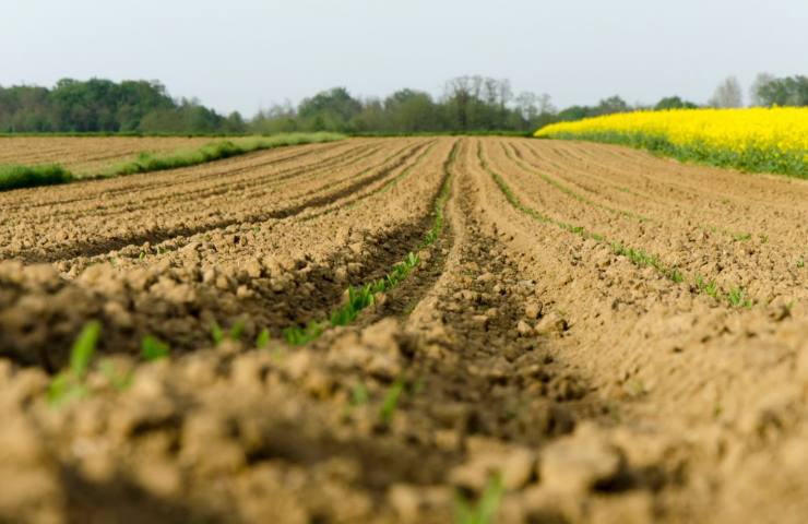 Aiuti a fondo perduto terreno agricolo - vostrisoldi.it 20230528