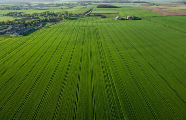 Aiuti a fondo perduto terreno coltivato - vostrisoldi.it 20230528