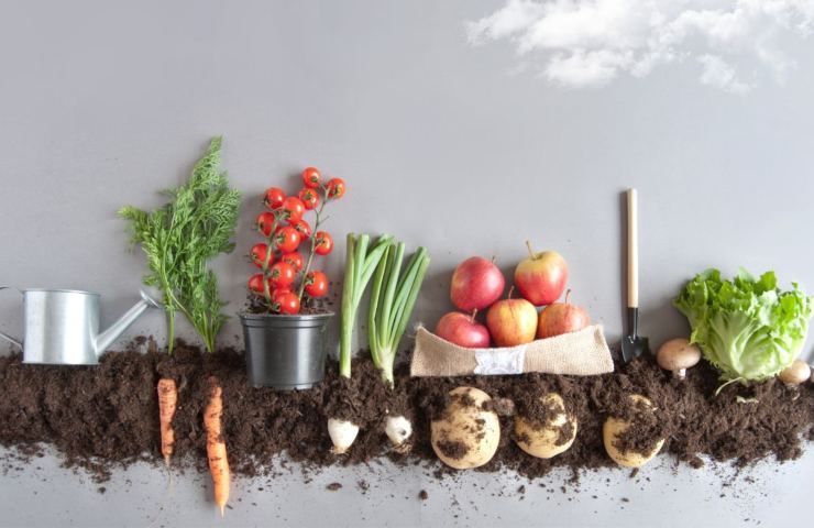 Carrello supermercato: Frutta e verdura - vostrisoldi.it 20230529