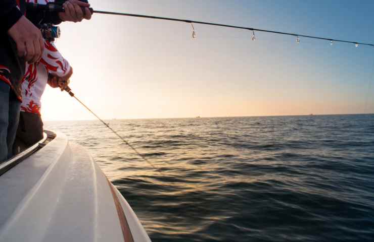 Pesca sportiva ricreativa legge sanzioni