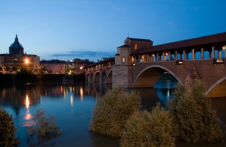 pavia 