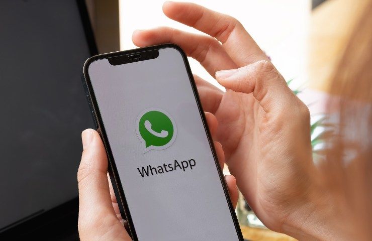 whatsapp aggiornamento spia