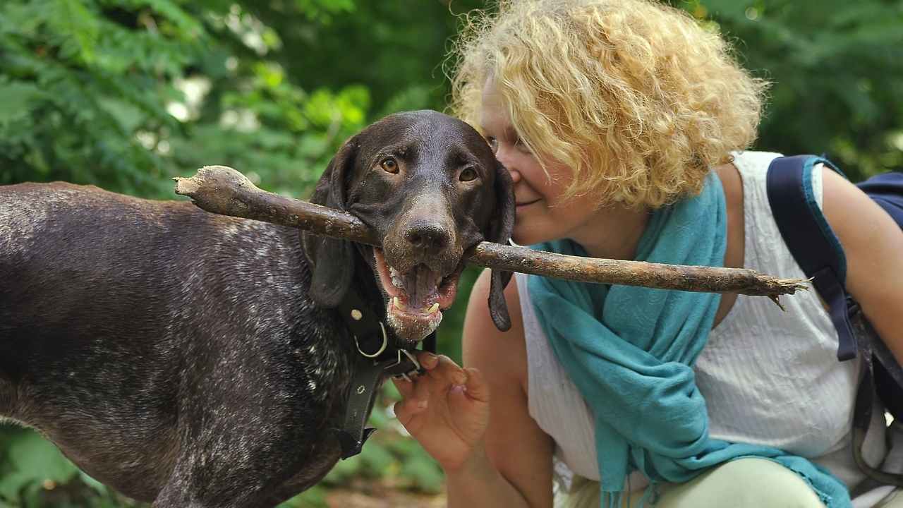 Le aree cani sono gestite dal comune, ma non solo