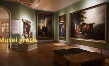 Musei