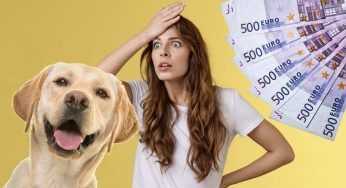 Gioca con il cane e si rompe il femore: il caro risarcimento richiesto