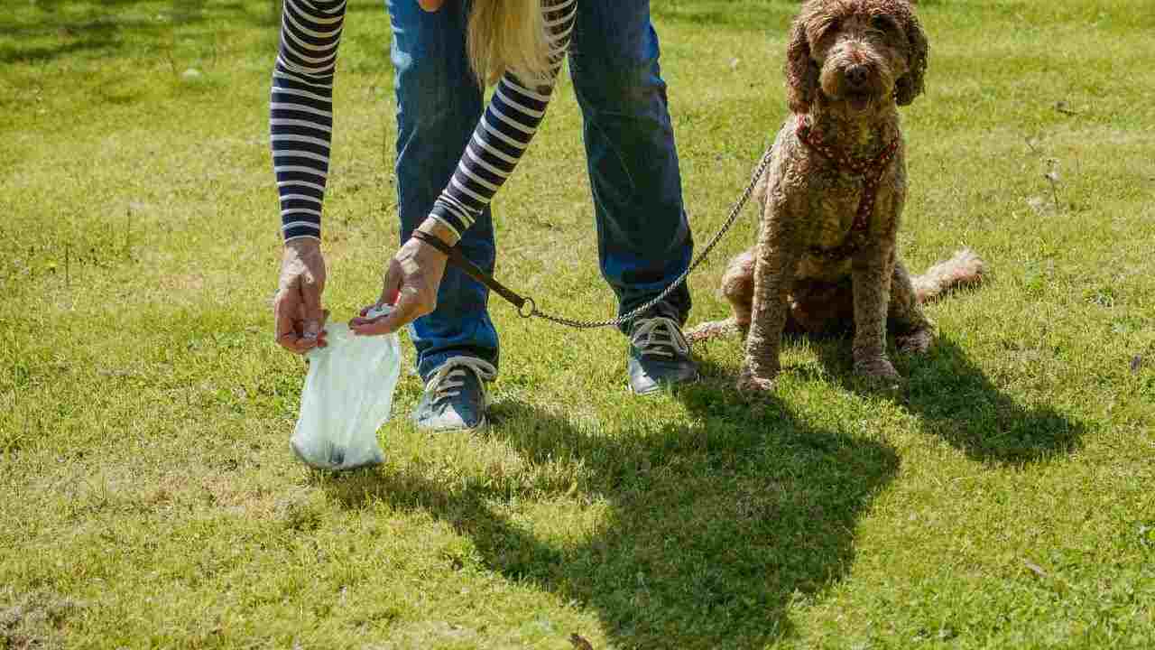 Raccogliere i bisogni del cane