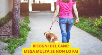 Il cane fa i suoi bisogni e non vengono raccolti: la multa sarà un duro colpo!