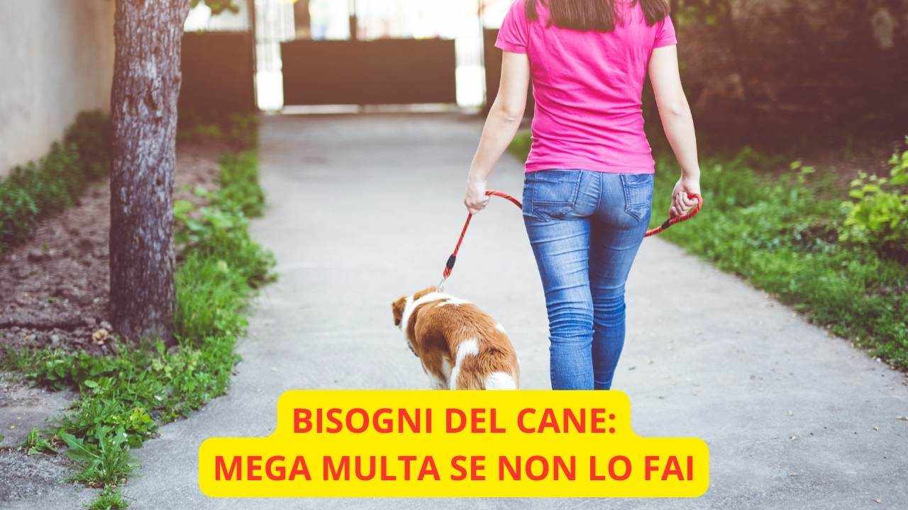 Raccogliere i bisogni del cane