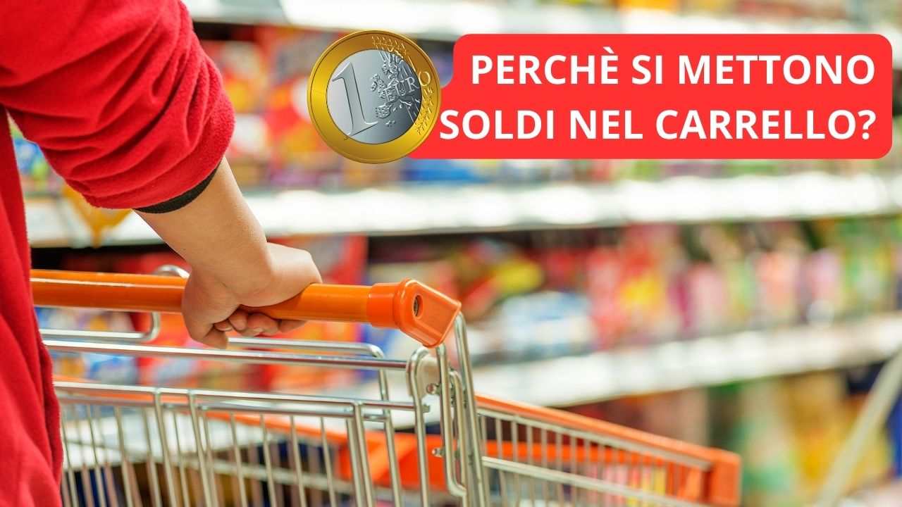 soldi nel carrello